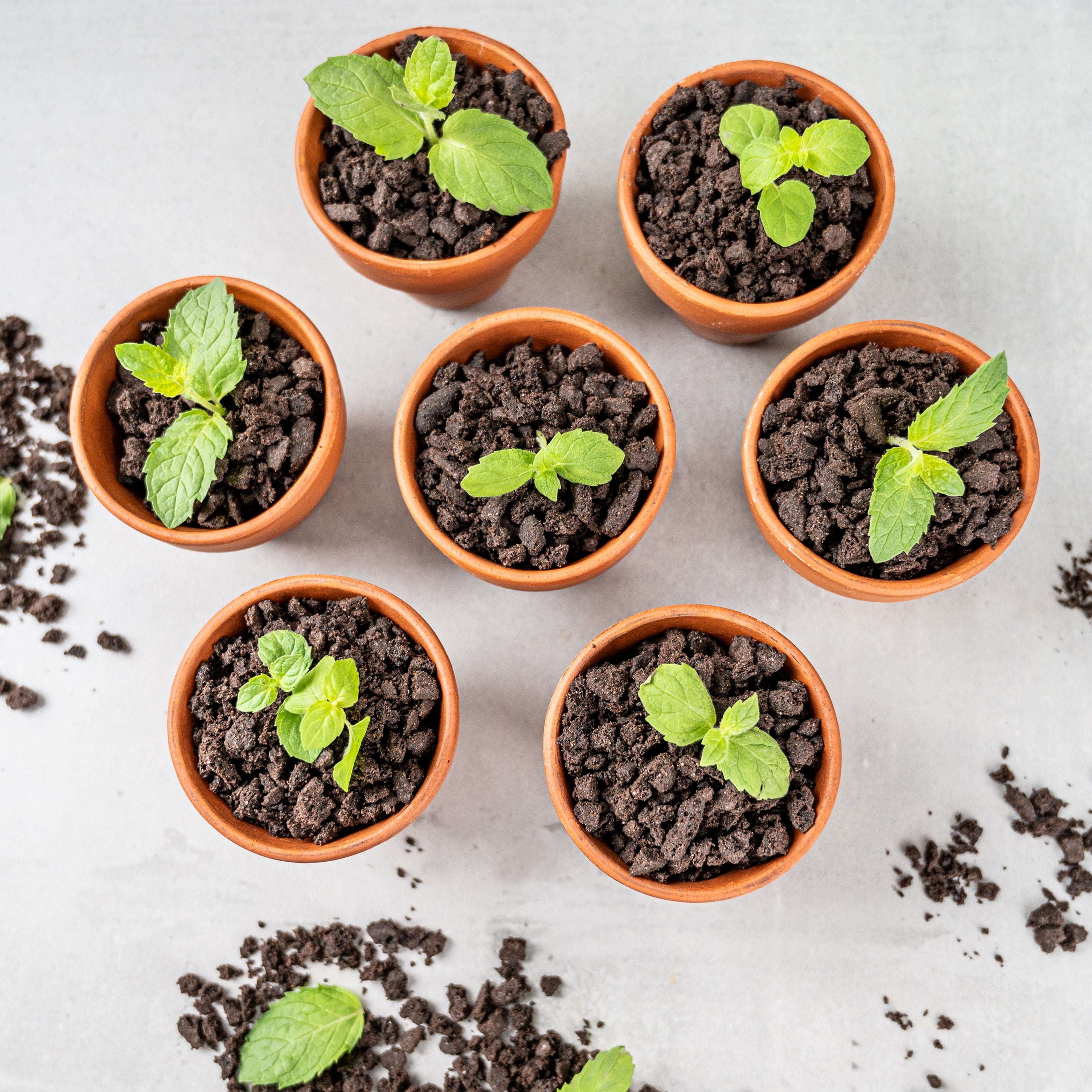 decocino-knusperstreusel-kakao-cookie-200-g-crunch-topping image 3