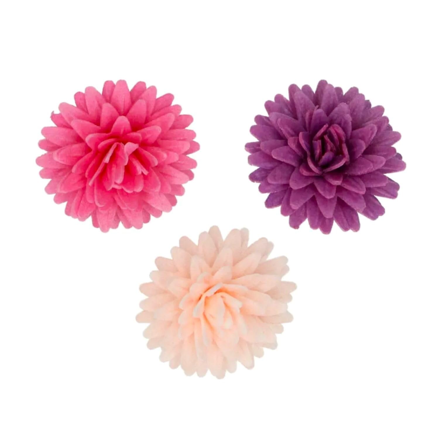 funcakes-edible-wafer-flowers-essbare-blumen-pompom-daisy-white-12-st-ck image 5